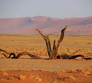 An der Düne 45 zum Sossusvlei