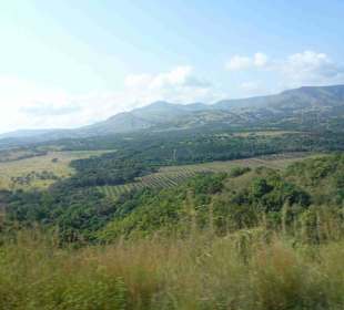 Krüger Nationalpark