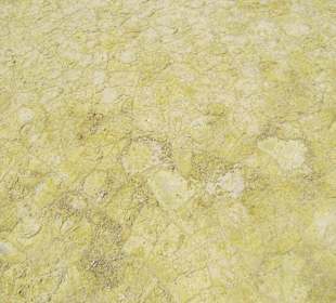 Struktura powierzchni dna krateru