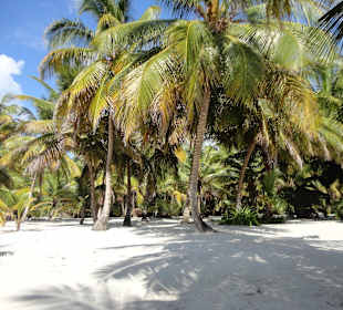Strand Saona