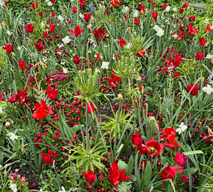 Blumeninsel Mainau