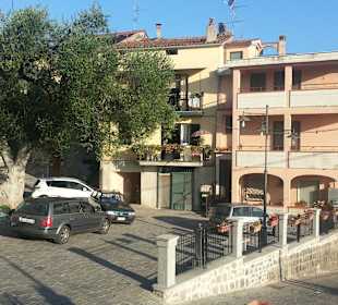 Der Dorfplatz mit 400 Jahre altem Olivenbaum