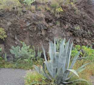  Mirador de los Manaderos