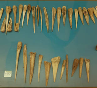 Knochen für die Arbeiten