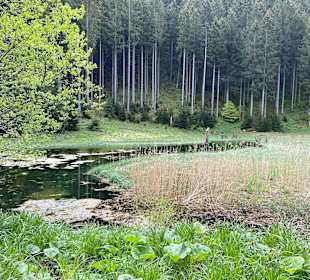 Wandern Oberaudorf