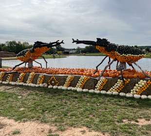 Krewelshof  Kürbisschau 2022 (Wundersame Waldwesen