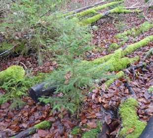 Rundwanderung Valley