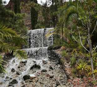 Palmitos Park