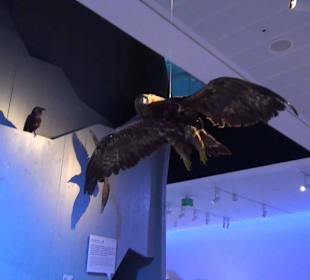 Nationalparkzentrum Haus der Berge