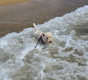 Das erste Mal Salzwasser