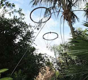 Katandra Treetops - Jungle