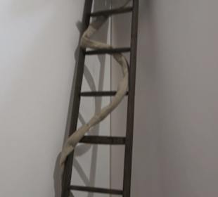 Fastnachtsmuseum Narrenschopf