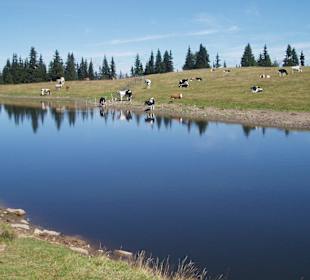 Schwarzsee / Afritz