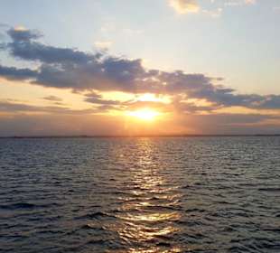 Sonnenuntergang bei Delfinausflug mit Mo 