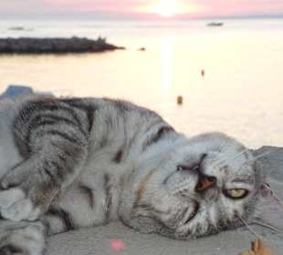 Irgendwie hälst Du die Kamera falsch!