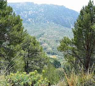 Mit dem Auto nach Cap de Formentor.