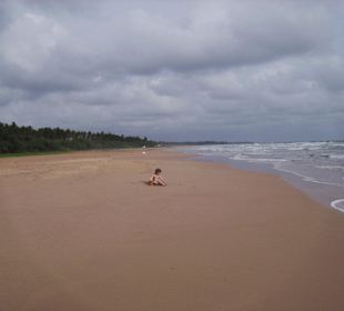 Typisch Bentota Beach