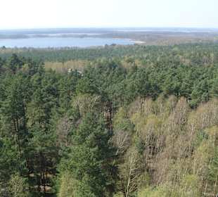 Blick vomKäflingsbergturm