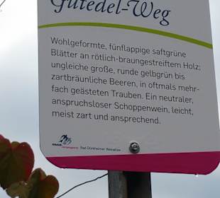 Wege