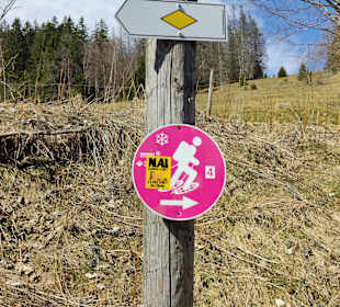 Wandern Todtnau