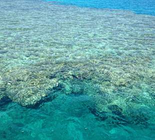 Schnorcheln Hurghada