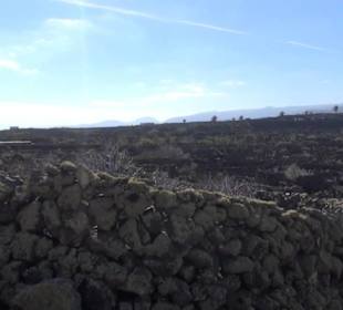 Parroquia San Francisco Javier 