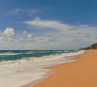 Induruwa Beach