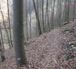 Wolfsschlucht