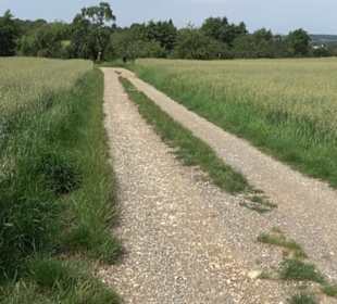 Premiumspazierweg Früchtetrauf-Leisawegle