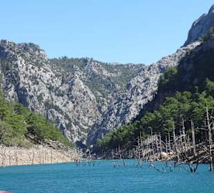 ...abgestorbene Bäume im Wasser