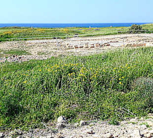 Archäologischer Park Kato Pafos