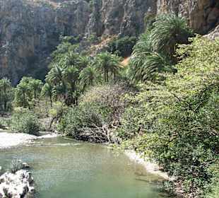 Widok na rzeke Megalopotamos