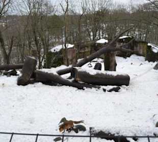 Freilichtmuseum Skansen
