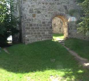 Burgruine Niederhaus