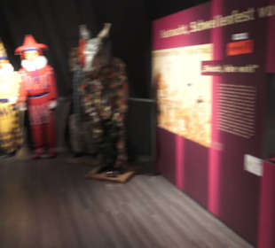 Fastnachtsmuseum Narrenschopf