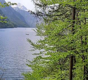 Der KönigsSee im FrühJahr