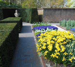 Blumenpracht im Keukenhof