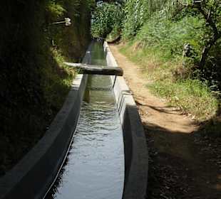 Levada Nova