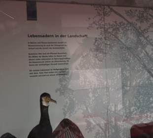 Naturkundemuseum