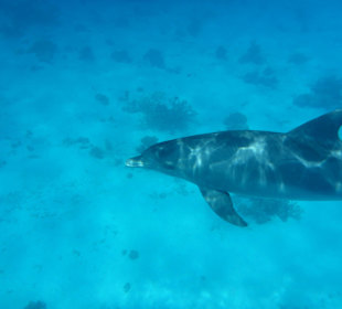 Und da kam sie zurück