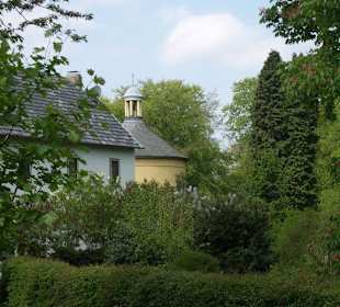 Impressionen am Rand des Weges