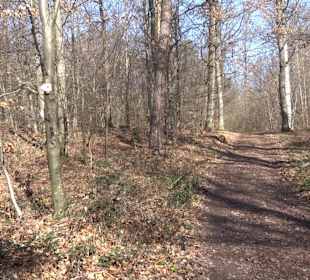 Hirschauer Spitzbergwegle (Premiumspazierwanderweg