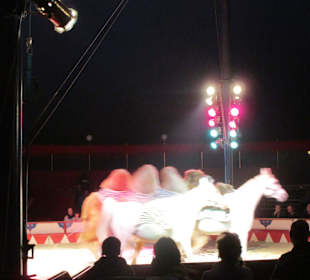 Landauer Weihnachtscircus 2015