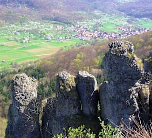 Oben am Walberla Südseite