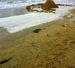 Ende September 2010 Impressionen