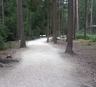 Dinosaurier Museum Altmühltal