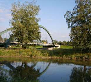 Die alte Isar im Herbst