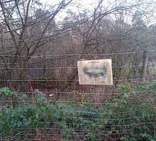 Wildpark Betzenberg in Kaiserslautern