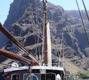 Los Gigantes Whalewatching