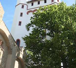 Bei der Kurfürstlichen Burg von Eltville